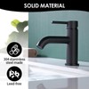 JAKARDA Single Handle Black Bathroom Faucet with Metal Drain Assembly