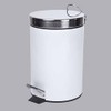 Douceur d'Intérieur Metal Bin 3 L white