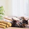 WoLover Silvervine Sticks for Cats, Natural Catnip Matatabi Chew Sticks