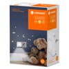 LEDVANCE Lunetta Hall Socket Night Light with Tilt Function