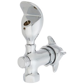 Homewerks Worldwide 3310-150-CH-B-Z 1/2" FPT Water Bubbler