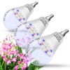 E12 Candelabra Grow Light Bulbs for Indoor Plants Full Spectrum,Small
