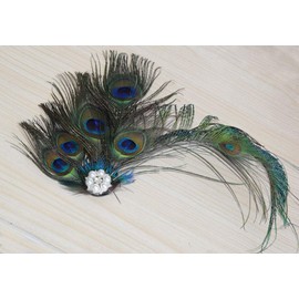 Women Girls Peacock Feather Costume Hair Clip Flapper Headpiece Hat Accessory Retro Wedding Carnival Party Hairpin