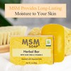 At Last Naturals MSM Soap Bar Body Soap for Men
