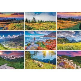 Pierre Belvédère - 1000 Piece Puzzle with Poster - Escape - 68 x 48 cm - The Jigsaw Family Puzzle Table Game - 650413