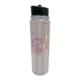 Great Eastern Entertainment Sailor Moon - Sailor Moon Group Icon Double Wall Water Bottle