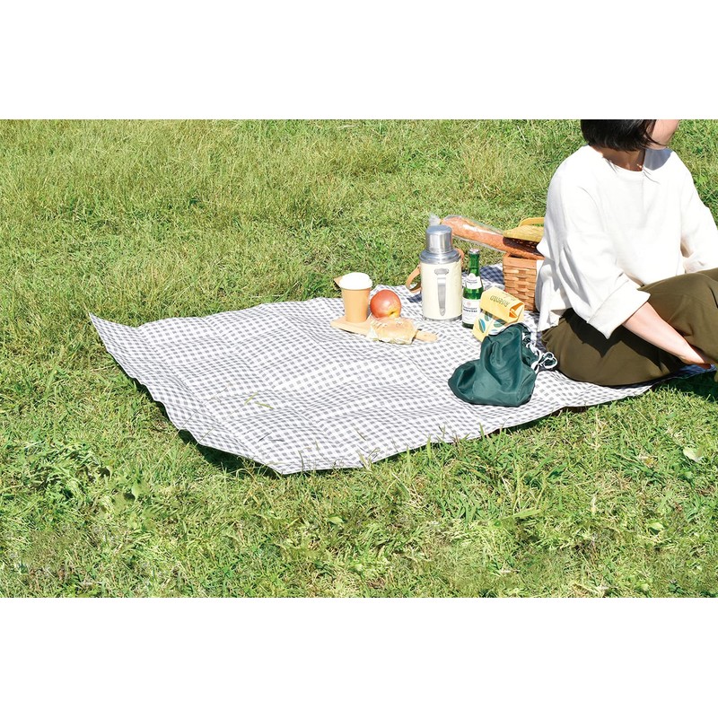 Hyundai Department Store Piatto Leisure Sheet BL Gingham Check A560BL