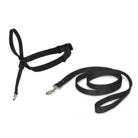Petsafe Easy Walk Headcollar – No-Pull Dog Collar – Includes Leash – Perfect for Leash & Harness Training – Stops Pets from Pulling and Choking on Walks – Large, Black (EW-HC-L-BK-17)