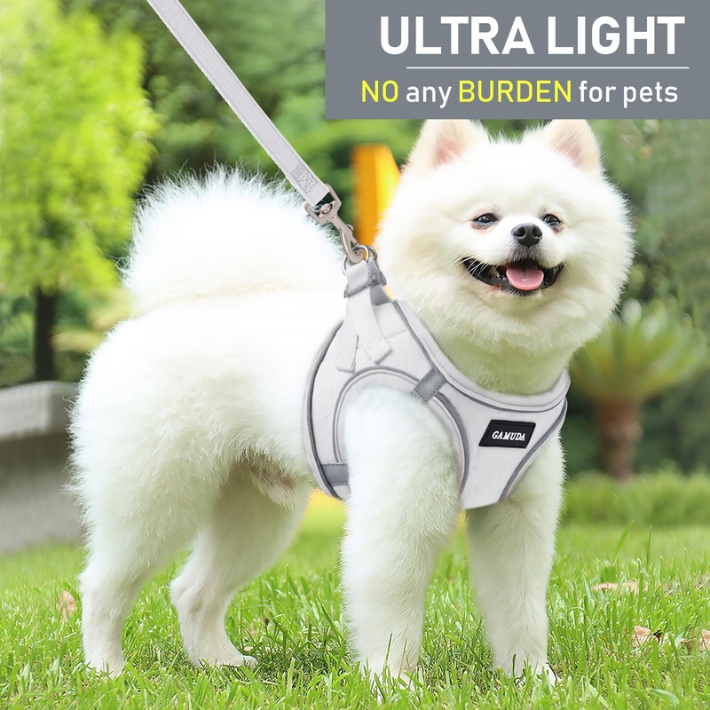 GAMUDA Small Pet Harness Collar and Leash Set, Step in