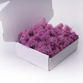 ACADOIT Preserved Moss-3.5 OZ Moss for Crafts Faux Moss Decor Natural Green Moss for Art Wall Florist Decor, Fairy Gardens, Wedding, Floral Project(Purple 3.5 OZ)