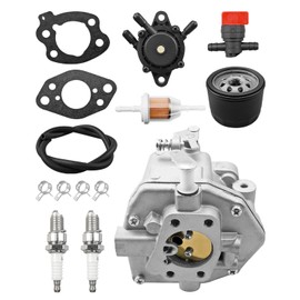TIKSCIENCE Engine Carburetor Kit Fit for John deere XUV550/S4 XUV560E/XUV560E/S4 Gator Replace AUC10140, Carb Maintenance Kit with Oil Filter