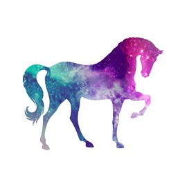 Horse Custom Starry Sky Vinyl Bumper Sticker Decal 5"