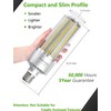 DragonLight 240W Commercial Grade Corn LED Light Bulb (1000 Watt