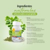 Mry Moringa Tabletas 500 100 Naturales Apoyo Anti Oxidativo Antiinflamatorio