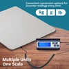 Smart Weigh Digital Postal Shipping Scale, 440 lb Capacity, 1