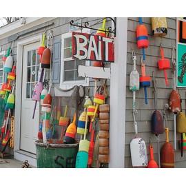 Springbok's 500 Piece Jigsaw Puzzle Oh Buoy!, Multi