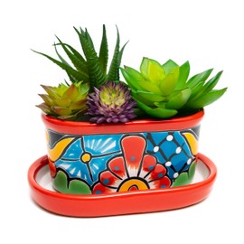 ENCHANTED TALAVERA Ceramic Succulent Pot Mini Flower Planter Cactus Bonsai Pot W/ Drainage & Drip Dish Home Garden Office Desk Décor Gift Set (Red)