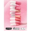 AMUSE Powder Velvet Tint 3.3, Color:#01 Rare Peach