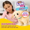 Little Live Pets Ouchies Cooper The Retriever Puppy, 50+ Sounds,