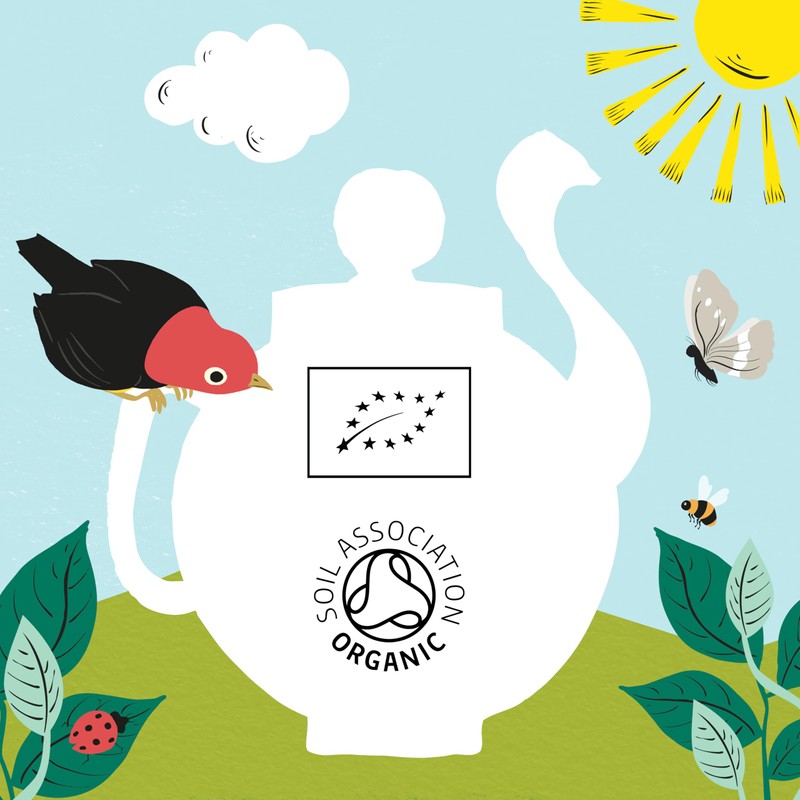 Clipper Organic Infusion Peppermint 20 Tea Bags (Pack of 6)