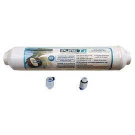 Inline Granulated Activated Carbon Filter 10" with 3/8" Adapters
