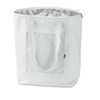 noTrash2003 Foldable Shopping Bag with Case - Lightweight and Stable