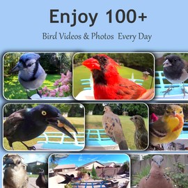 64GB Smart Bird Feeder with Camera Solar Powered, AI Identify 10K+ Bird Aves, 2K 3MP HD Live Video &Playback on Phone, 2.4G WiFi Birdhouse Camera Wireless Outdoor-Watching House (Light Blue)