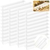 Qualirey 50 Packs Reusable Hive Beetle Trap, Plastic Blaster Beetle
