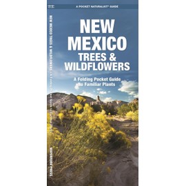 New Mexico Trees & Wildflowers: A Folding Pocket Guide to Familiar Species
