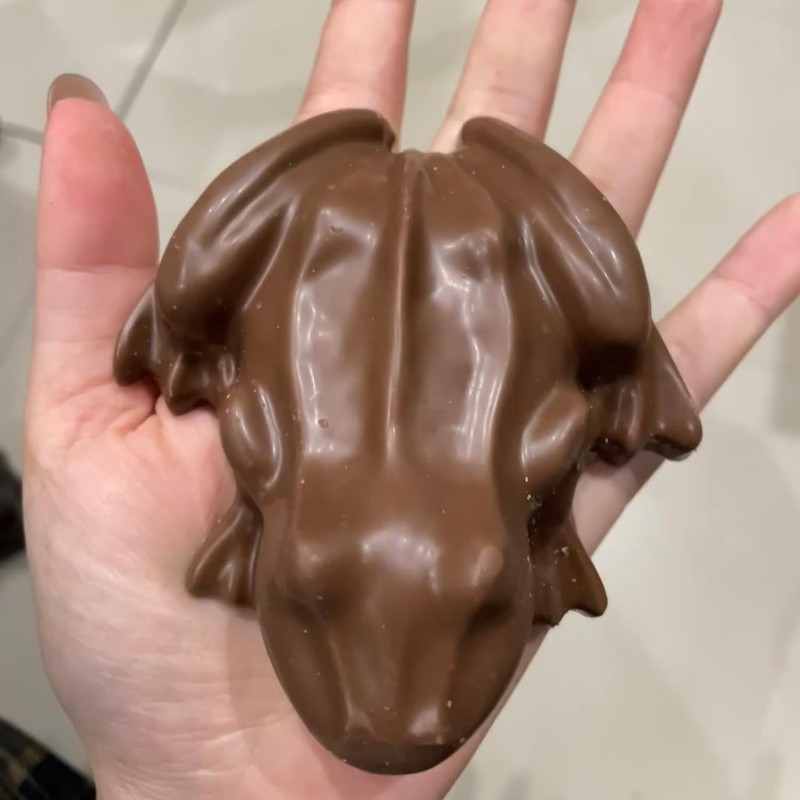 EPYHREHM Frog Silicone Chocolate Molds Passover Frog Mold For Hard