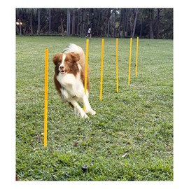 Dog Agility Training Equipment Set, Outdoor Obstacle Course with 6 Weave Poles and Adjustable Jump Bar, Partial Gift Conversion Buckle (Blind Box) Yellow