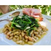 French Flageolet Bean Seeds (25) / ORGANIC / BUSH BEAN