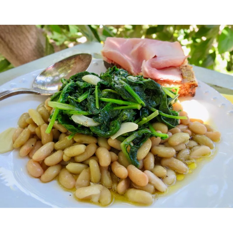 French Flageolet Bean Seeds (25) / ORGANIC / BUSH BEAN