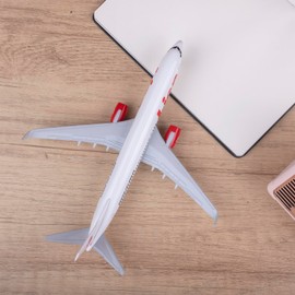 Bswath Airplane Model 1:300 Scale Model Plane Lion Airplane B737 Plane Model for Gift and Decoration