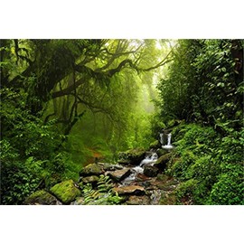 LFEEY 10x8ft Graceful Natural Scenery Backdrop Evergreen Forest Jungle Rock Flowing Mountain Stream Rainforest Photography Background Birthday Party Events Photo Studio Props