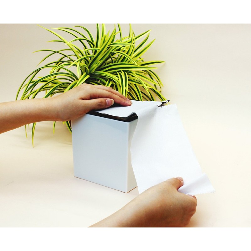 Butterfly Plastic Tissue Case