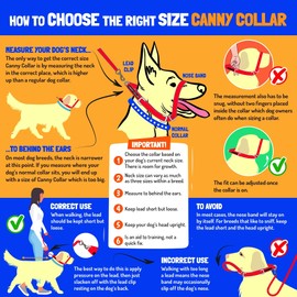 The Canny Collar for Dog Training and Walking, Helps with Dog Training and Stops Dogs Pulling on The Lead - Black