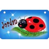 Ladybug Bicycle License Plate Daises Flowers Personalize Gifts