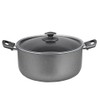 FRED Granite Non-Stick Deep Stock Pot with Glass Lid (10L