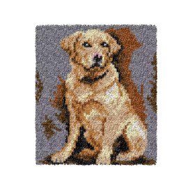 GLAECYY Latch Hook Kits for Adults Beginners Rug Making Kits with Printed Canvas Doormat Tapestry Kits Needlework Arts Crafts Sewing Gift Home Decoration20.5''X15''