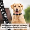 BAYCUFKQ Dog Collar, Cute Pet Collar Adjustable for Medium Dogs,