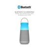 ION Audio Bright Max Plus Indoor/Outdoor 360 Degree Bluetooth Wireless