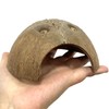 Hamiledyi 7 Pcs Reptile Hideouts Natural Coconut Shells Hut Leopard