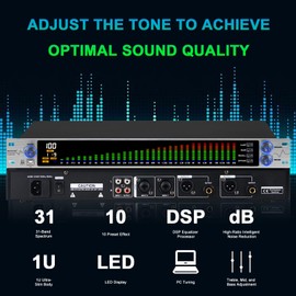 MIZISNR Digital Equalizer for Home Stereo Audio System, Professional 31 Band Dual Channel Graphic Equalizer Music EQ with PC Tuning, Noise Reduction & Spectrum Analyzer Display - 1U Rack Mount, Silver
