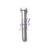 Fast FT13349 - Bearing Leaf Spring
