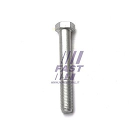 Fast FT13349 - Bearing Leaf Spring