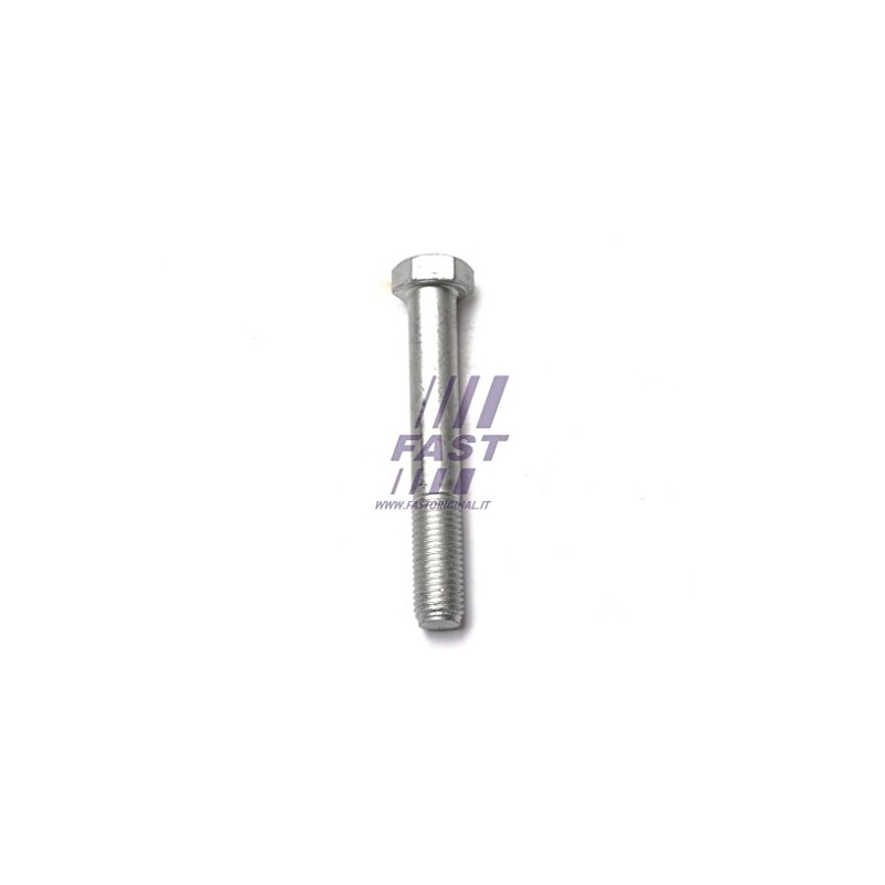 Fast FT13349 - Bearing Leaf Spring