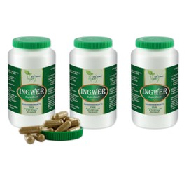 VITA IDEAL Vegan® Ginger Root 3 x 360 Capsules Zingiber Officinale Daily Serving 960 mg Ginger Root Pure Powder Vegetable Natural and No Additives