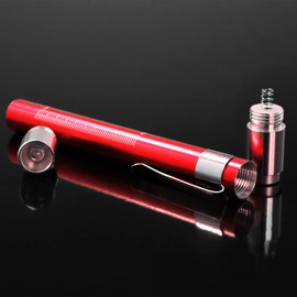 RE-GEN Doctors Nurses Reusable Aluminium LED Pen Light Diagnostics Inspection Penlight Pocket Torch Flashlight (1, Red)