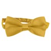HANERDUN Bow Tie Men/Boys Children's Bow Tie Tied with Hook